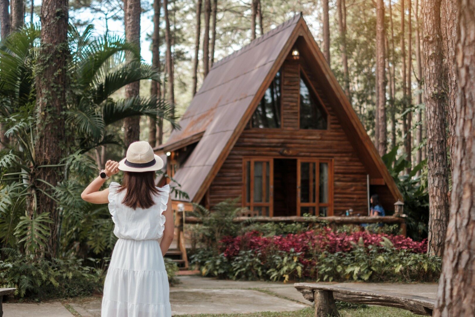 Happy woman in white dress and hat traveling in pine tree forest, tourist visit at Doi Bo Luang, Chiang Mai, Thailand, Landmark and popular for tourist attractions. Vacation and journey concept